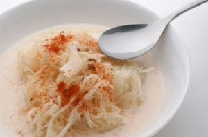 kraut soup probiotics