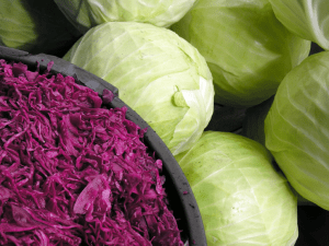 red and green cabbage kraut