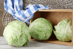 cabbage heads
